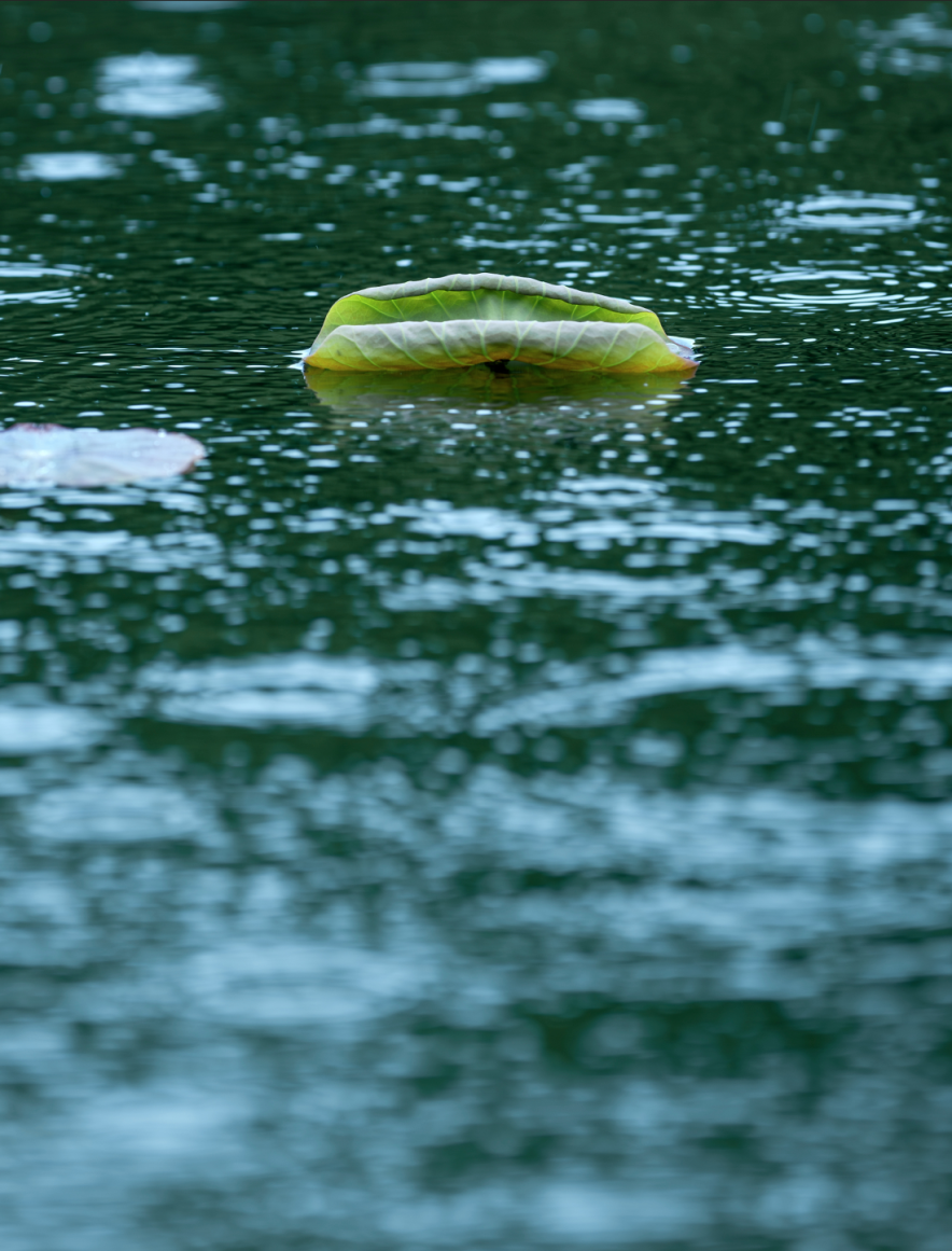 江干天气