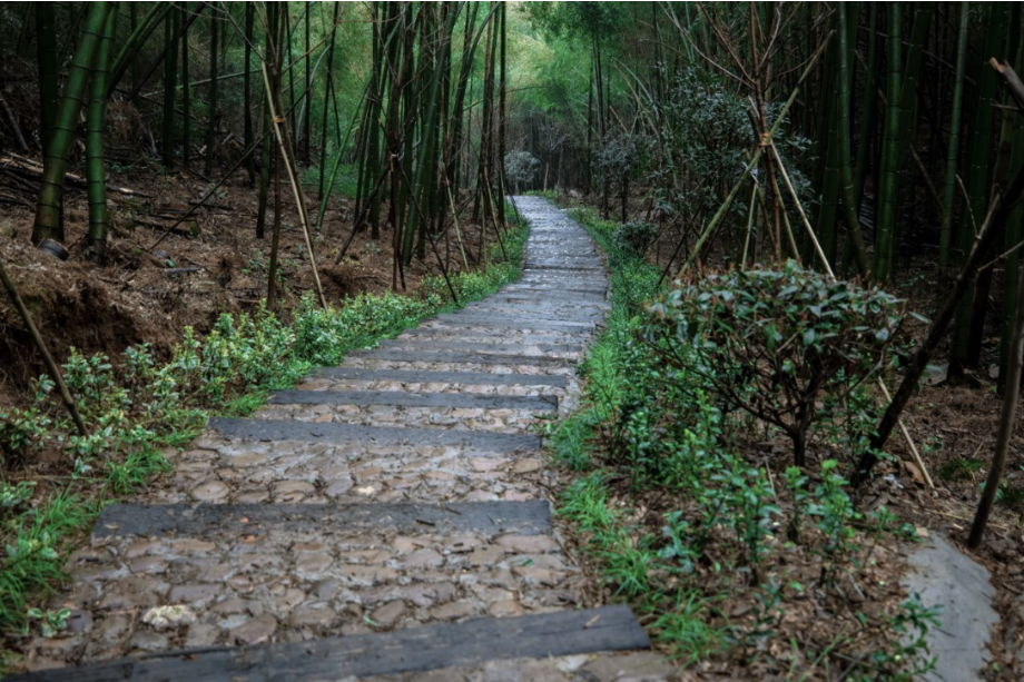 戴村郊野綠道戴村郊野綠道位於戴村鎮雲石生態旅遊度假區的石派山