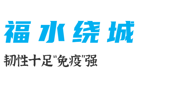 【福州荣获首届全球可持续发展城市奖】【联合国大奖花落福州】全国唯一！福州拿下联合国大奖！