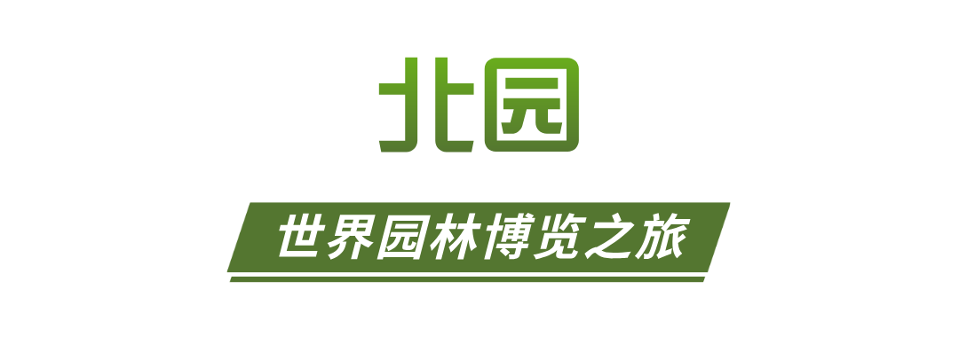 合成风简洁的轻食简餐促销海报__2026-04-15+10_10_22.png