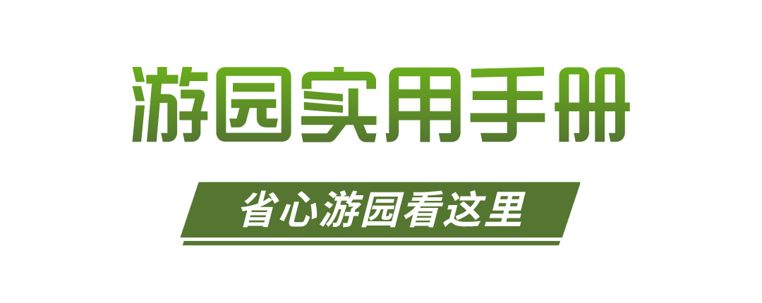 合成风简洁的轻食简餐促销海报__2026-04-15+12_41_55.png