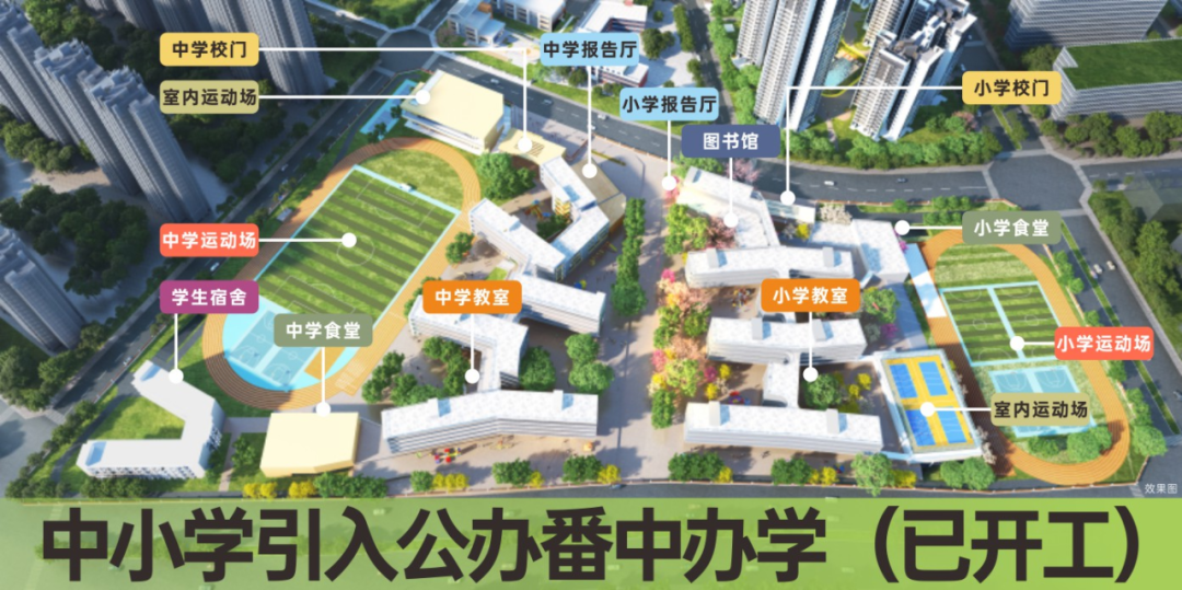 总价250万，买番禺越秀大学星汇锦城刚需盘！