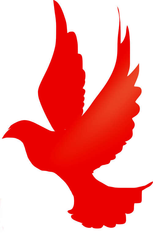 医用护理床怎么安装【基层党建】县残疾人联合会：残疾儿童上门配送安装护理床——“爱心帮扶解民忧 精准助残暖童心”_https://www.jmylbn.com_新闻资讯_第2张