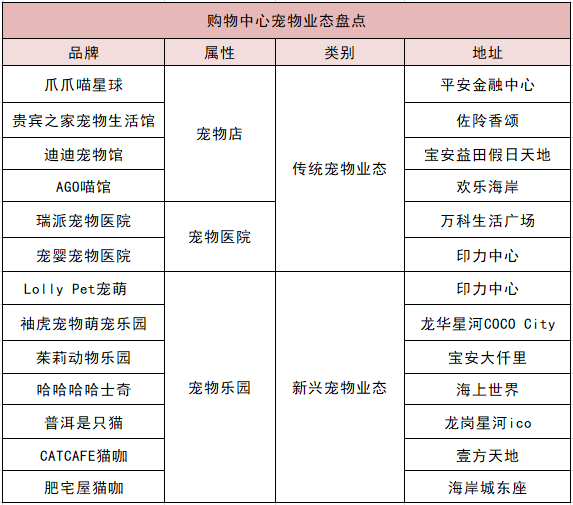 寵物民宿爆滿、萬元婚紗出圈、頭部玩家入局...萌寵經濟還有哪些新商機？ 寵物 第3張