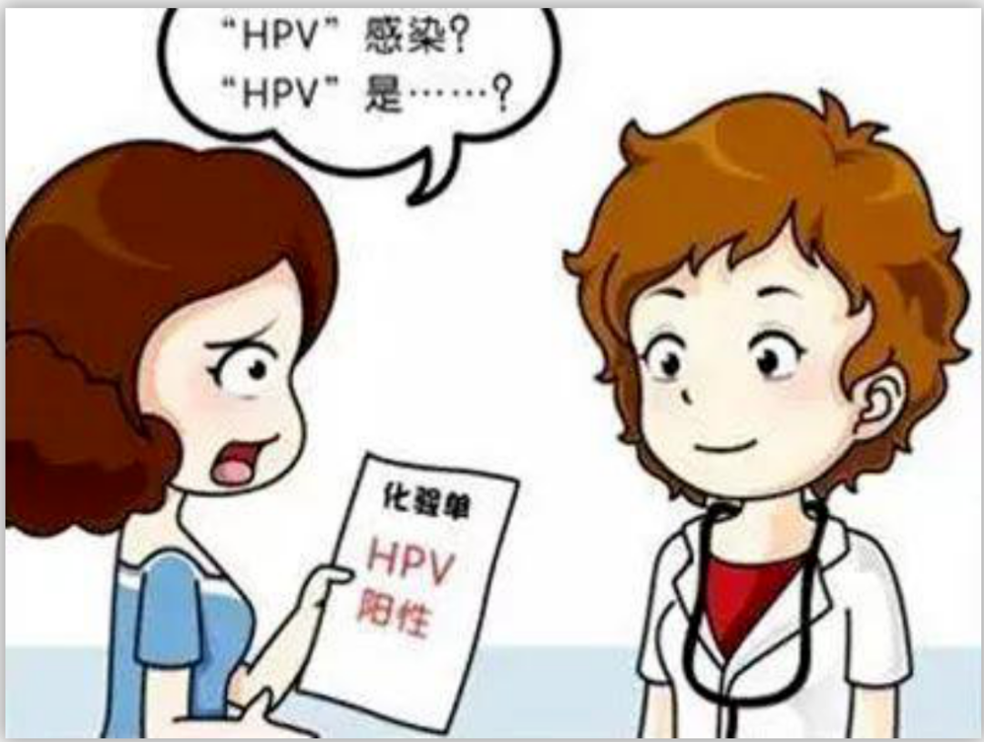 hpvdna分型分为什么型关注人乳头瘤病毒(HPV)基因分型（23型）检测，共同守护女性健康_https://www.jmylbn.com_新闻资讯_第4张