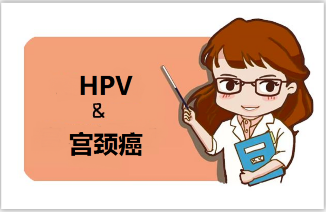 hpvdna分型分为什么型关注人乳头瘤病毒(HPV)基因分型（23型）检测，共同守护女性健康_https://www.jmylbn.com_新闻资讯_第2张