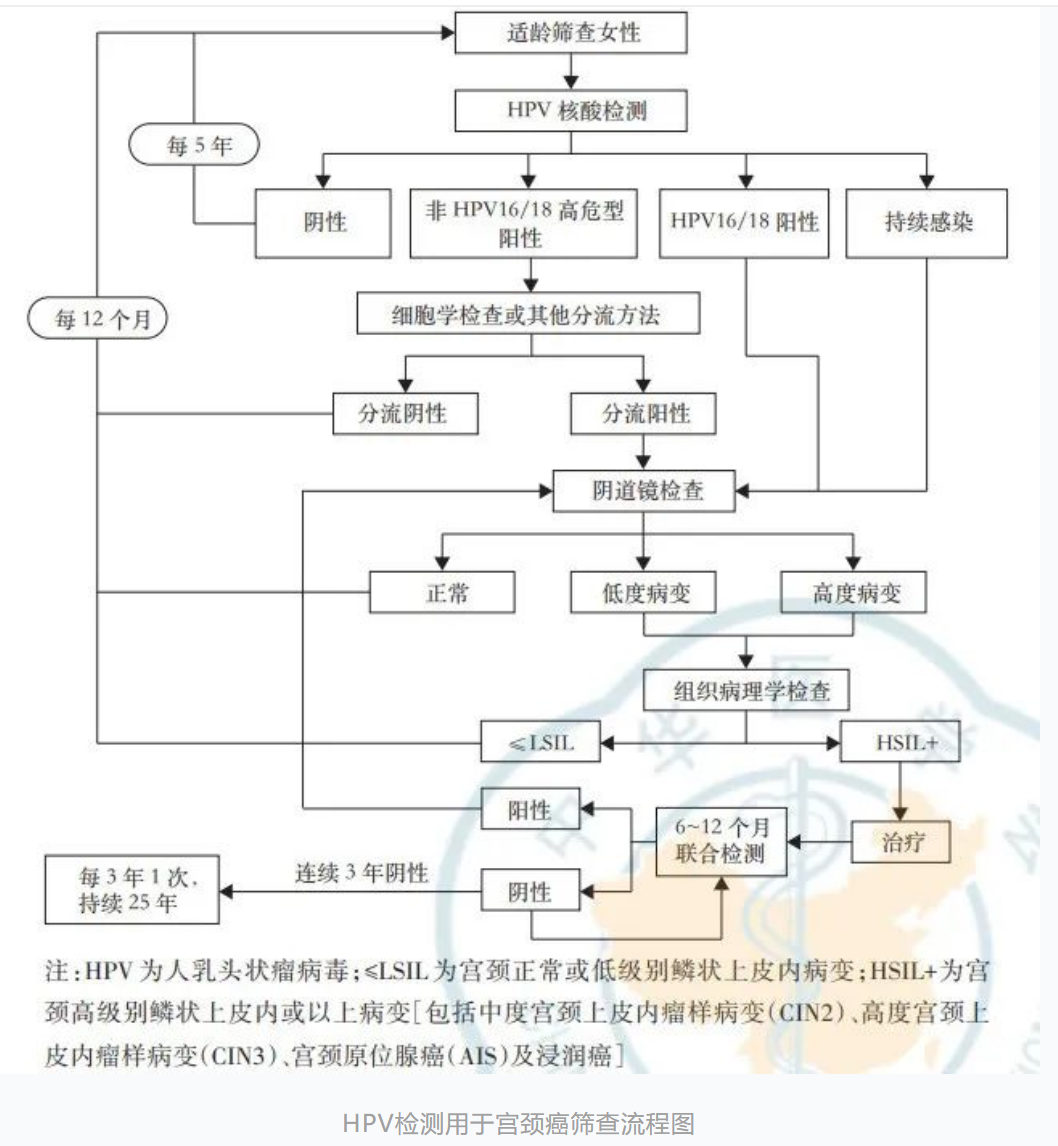 hpvdna分型分为什么型关注人乳头瘤病毒(HPV)基因分型（23型）检测，共同守护女性健康_https://www.jmylbn.com_新闻资讯_第6张