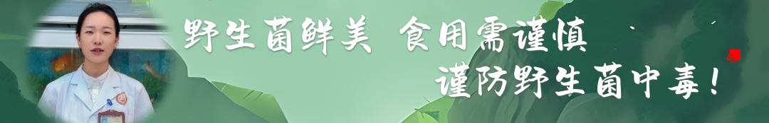 医用病床怎么移动图解【健康科普】轮椅转移有技巧 一起了解一下吧！_https://www.jmylbn.com_新闻资讯_第12张