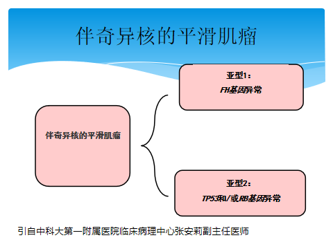 fh染色是什么意思讲座｜ FH缺失型子宫平滑肌瘤_https://www.jmylbn.com_新闻资讯_第30张