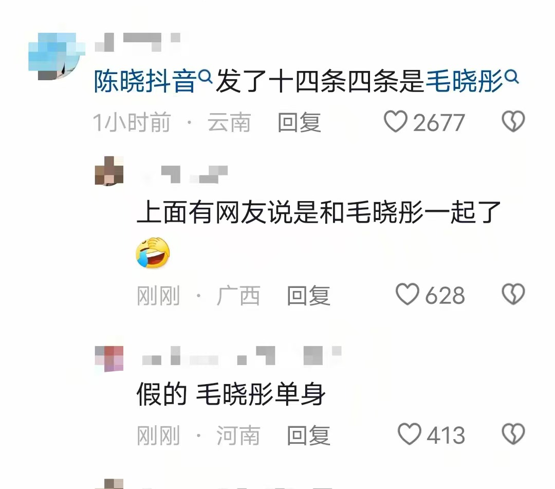 陈晓刚离婚，就有人帮他“选妃”了！