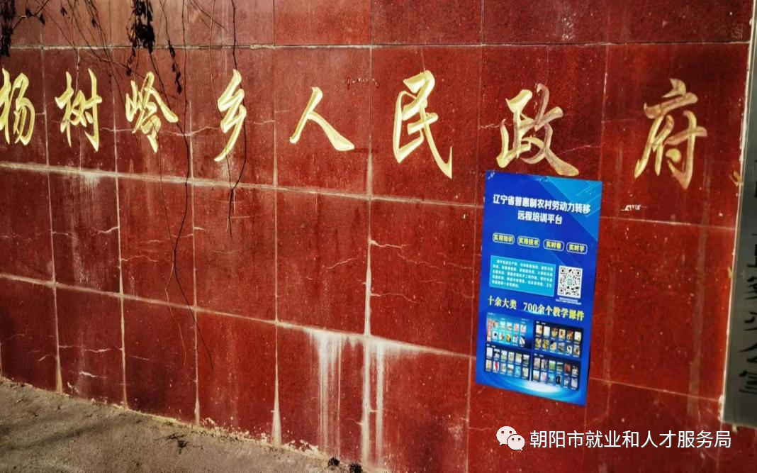 朝阳人才中心服务电话_朝阳人才服务中心_朝阳人才中心服务电话号码