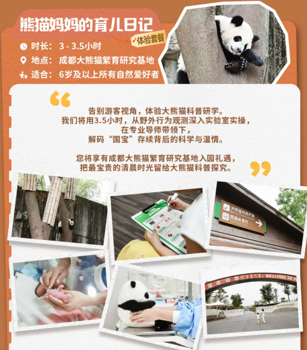 飞猪暑期酒店大促 普吉岛Club Med国庆不加价 万豪通兑2晚688起