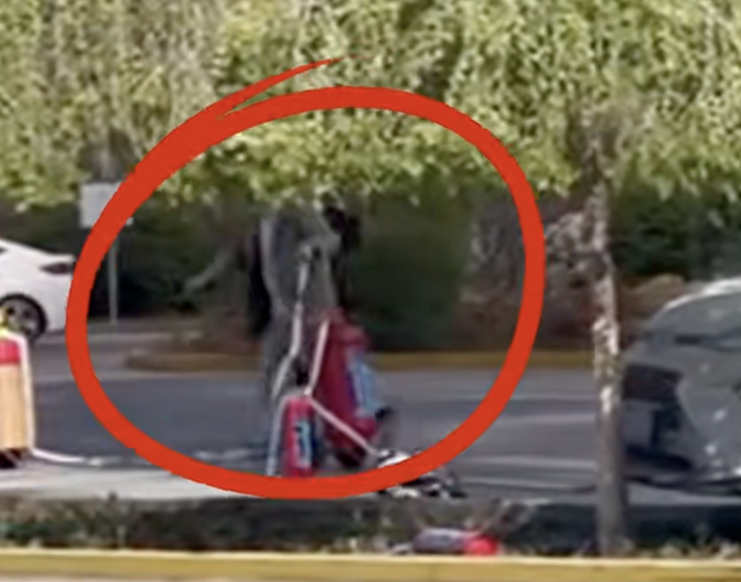 截屏2025-05-07 17.01.01.png