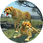 猎豹模拟器游戏