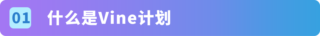 注意！亚马逊Vine计划规则收紧，严禁合并违规变体