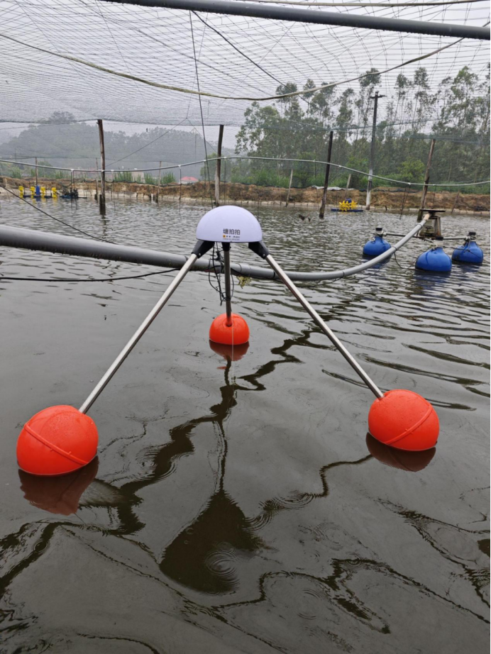 谁在重新定义养虾业？是他们！