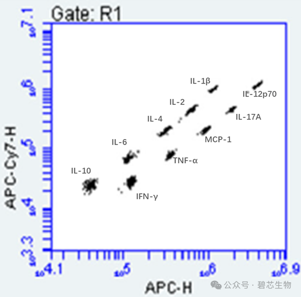 細(xì)胞因子檢測(cè)——碧芯生物Beadstar-mPlex®多細(xì)胞因子檢測(cè)試劑盒
