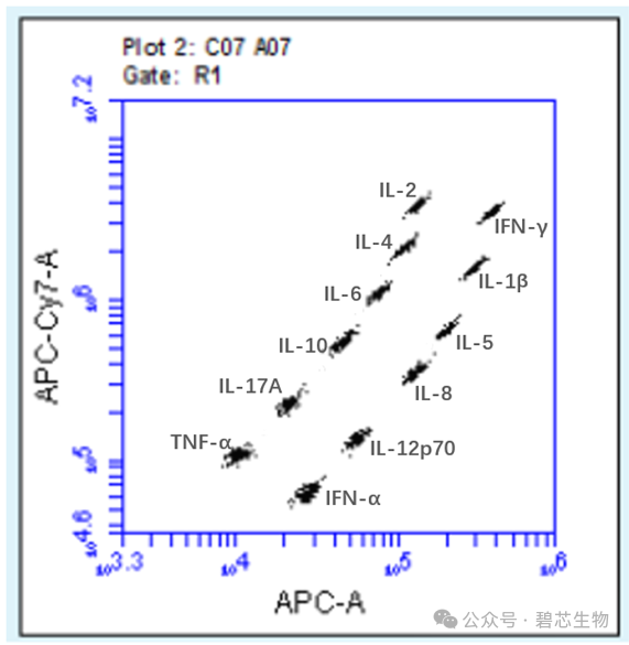 細(xì)胞因子檢測(cè)——碧芯生物Beadstar-mPlex®多細(xì)胞因子檢測(cè)試劑盒