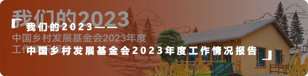 乡村振兴青年有为希望田野把青春的种子撒进乡村振兴的土壤