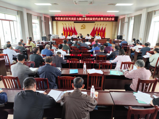 七洞乡召开第四届党代会第五次会议 - 乡镇快讯 - 广西来宾市兴宾区