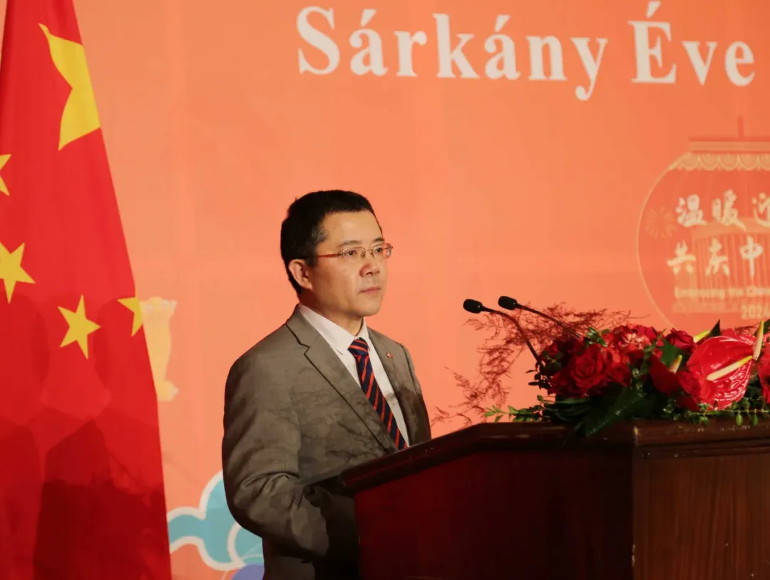 环球时报记者专访中国驻匈牙利大使