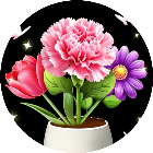 我爱插花