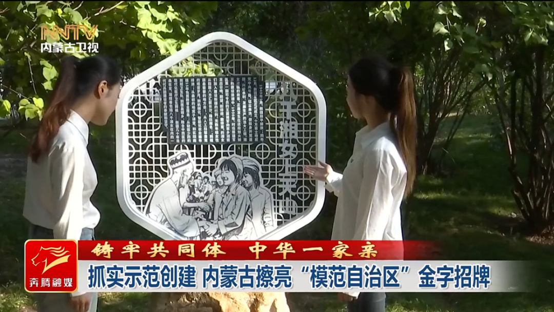 视频截图