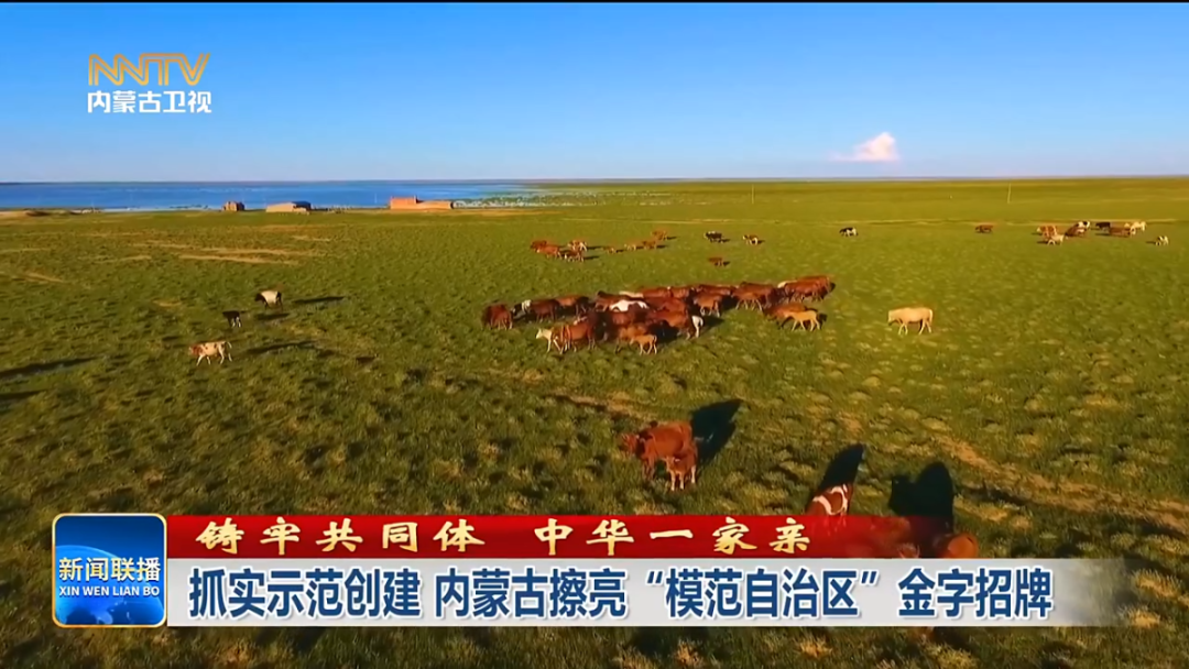 视频截图