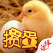 杭州苕华