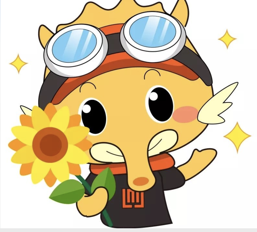 深圳网之科技有限公司