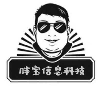 胖宝信息科技