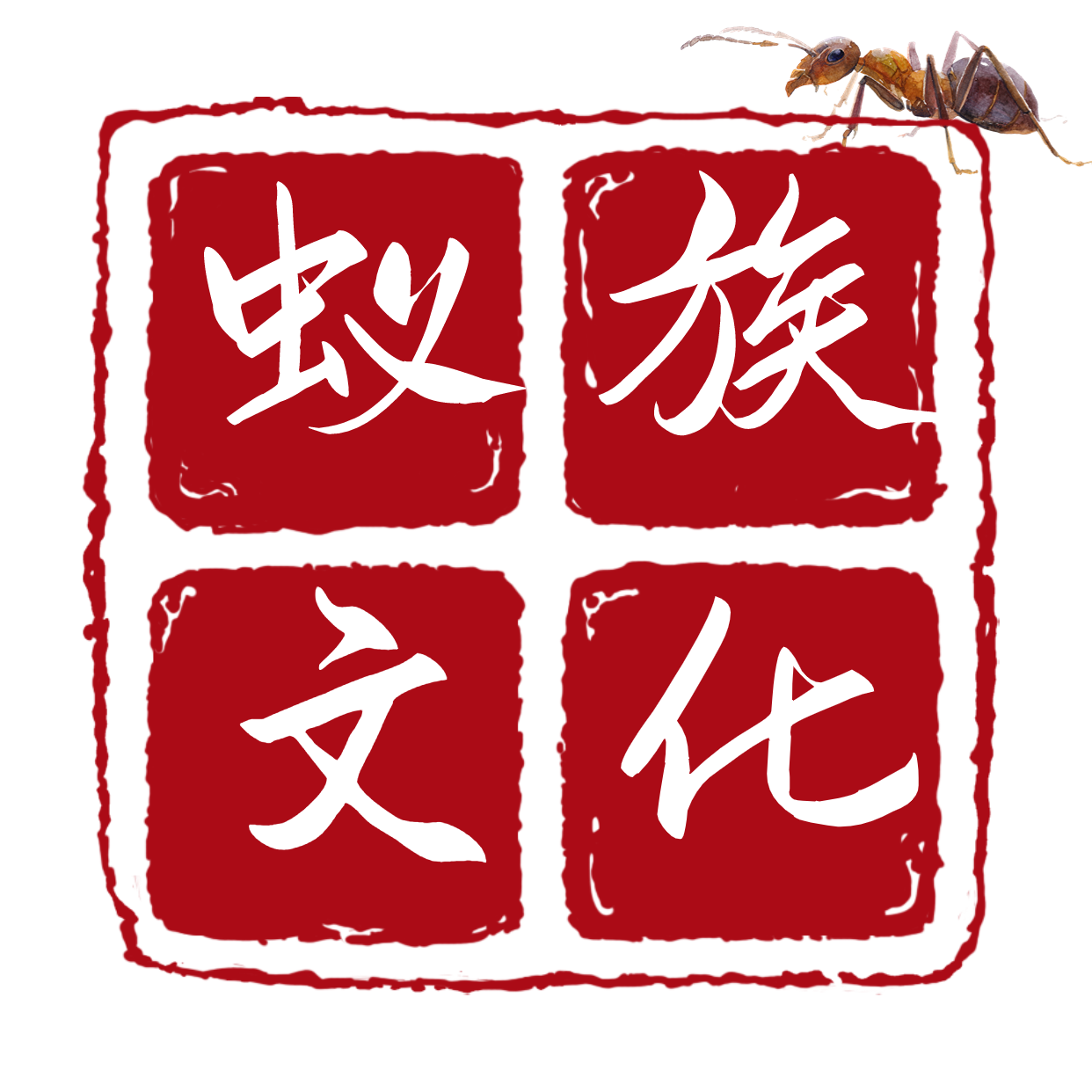蚁族文化