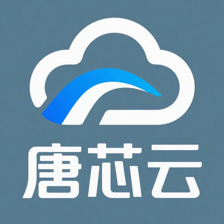 陕西唐芯智擎科技有限公司