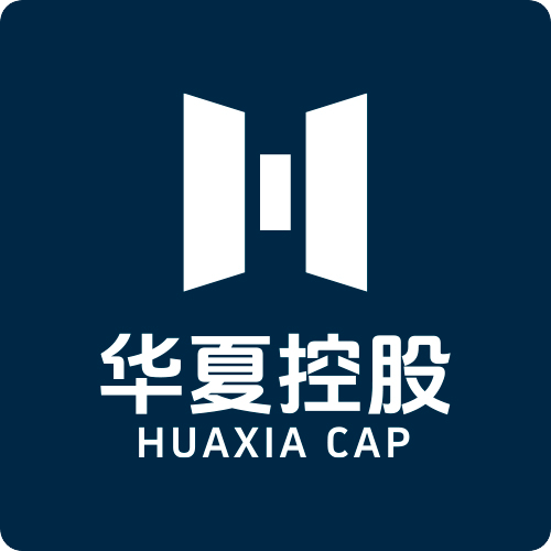 华夏控股