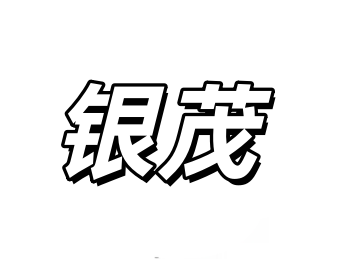 长沙市银茂网络科技有限公司