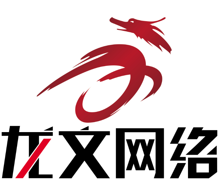 临沂龙文网络