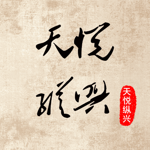 创奇网络