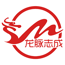 龙脉志成