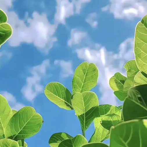 夏益新数科