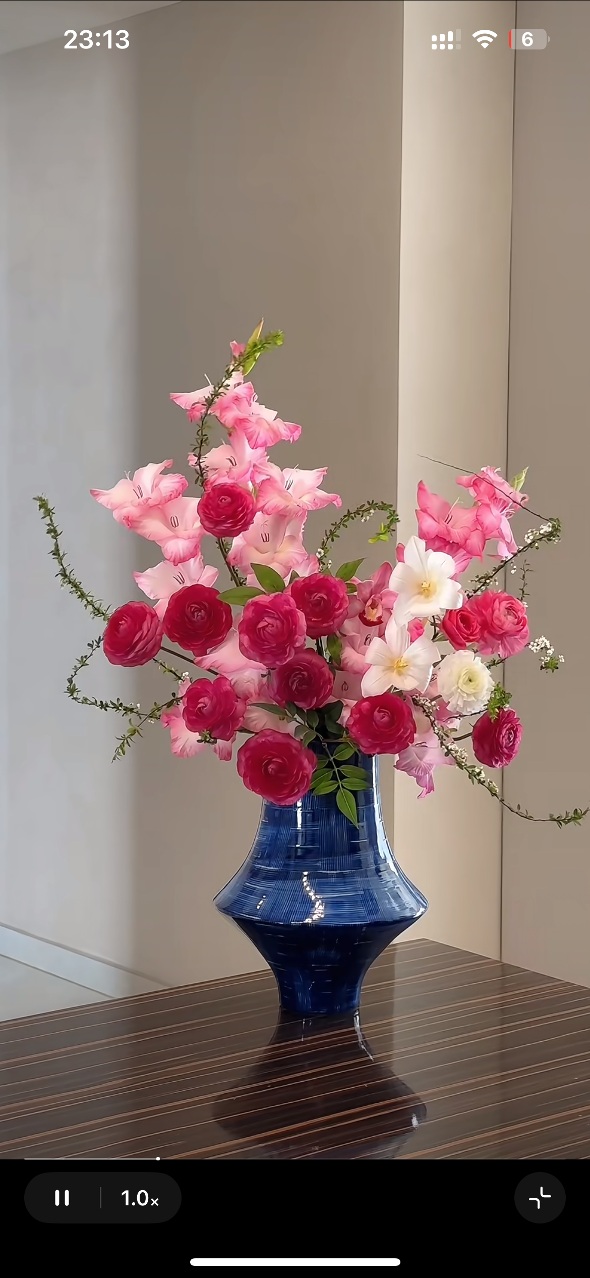 红头半边天电商