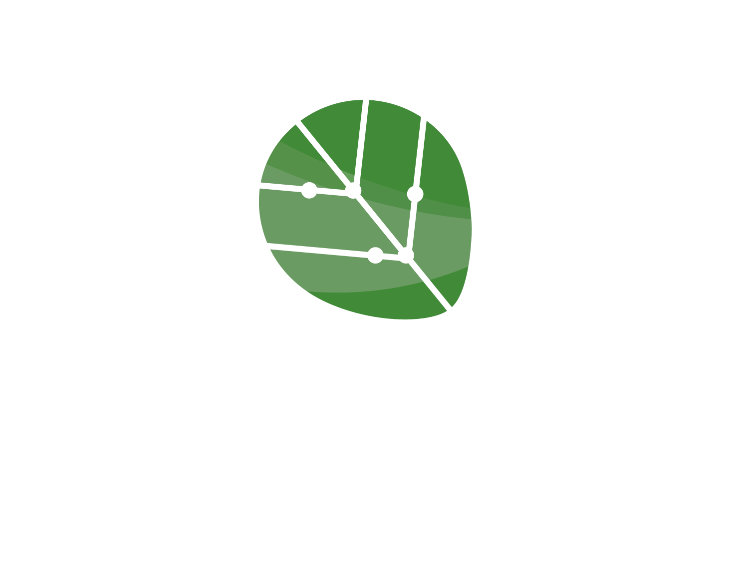 退外科技