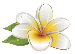 深圳市中信泰软件有限公司