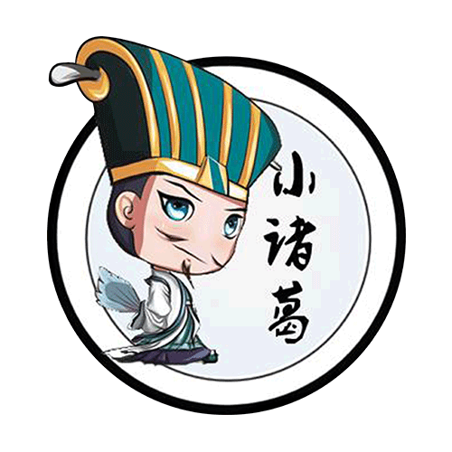 小诸葛网络