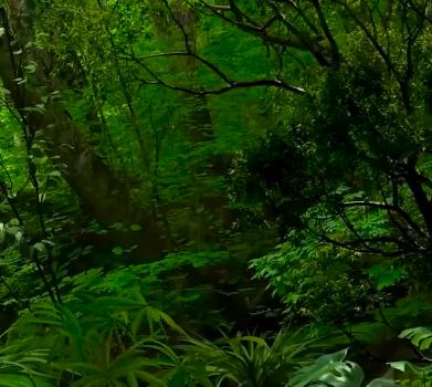 北京妈咪咪网络科技有限公司