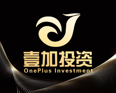 壹加投资