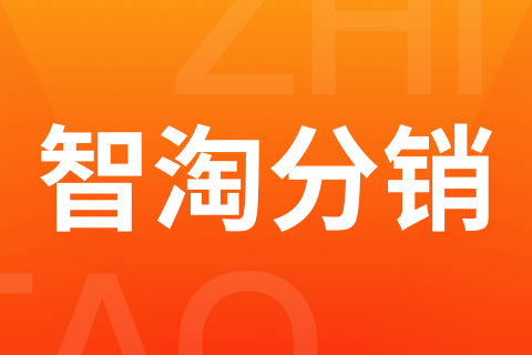 智淘分销