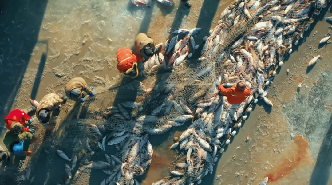 京东和天猫哪个货更真