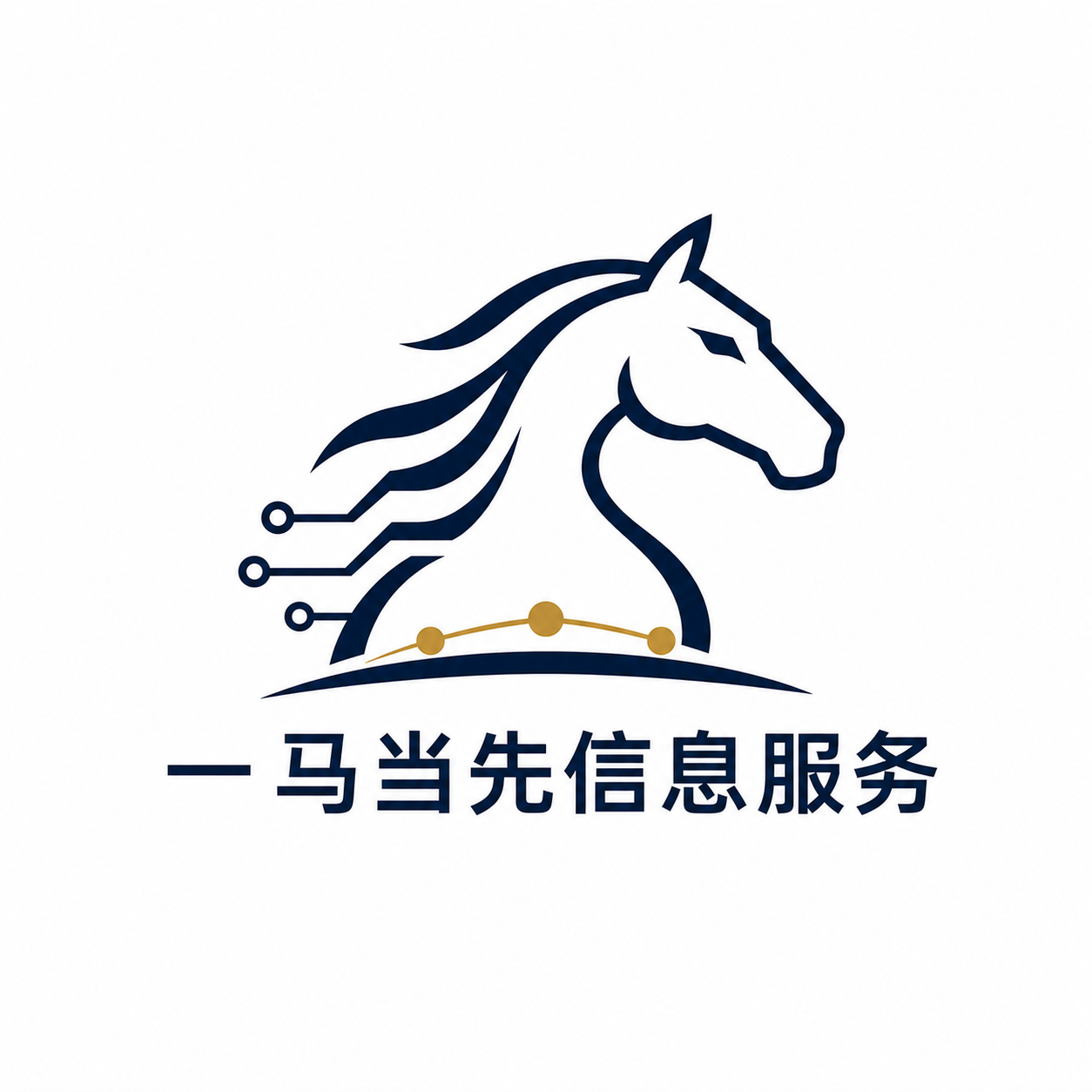 西安一马当先信息服务