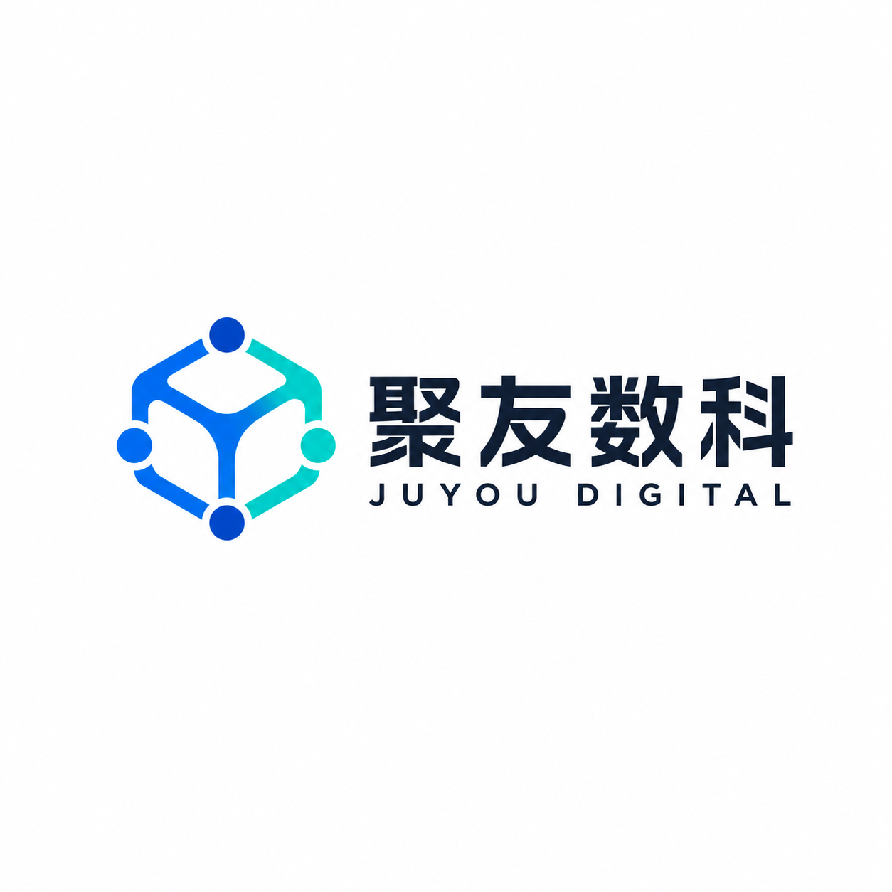 聚友数科