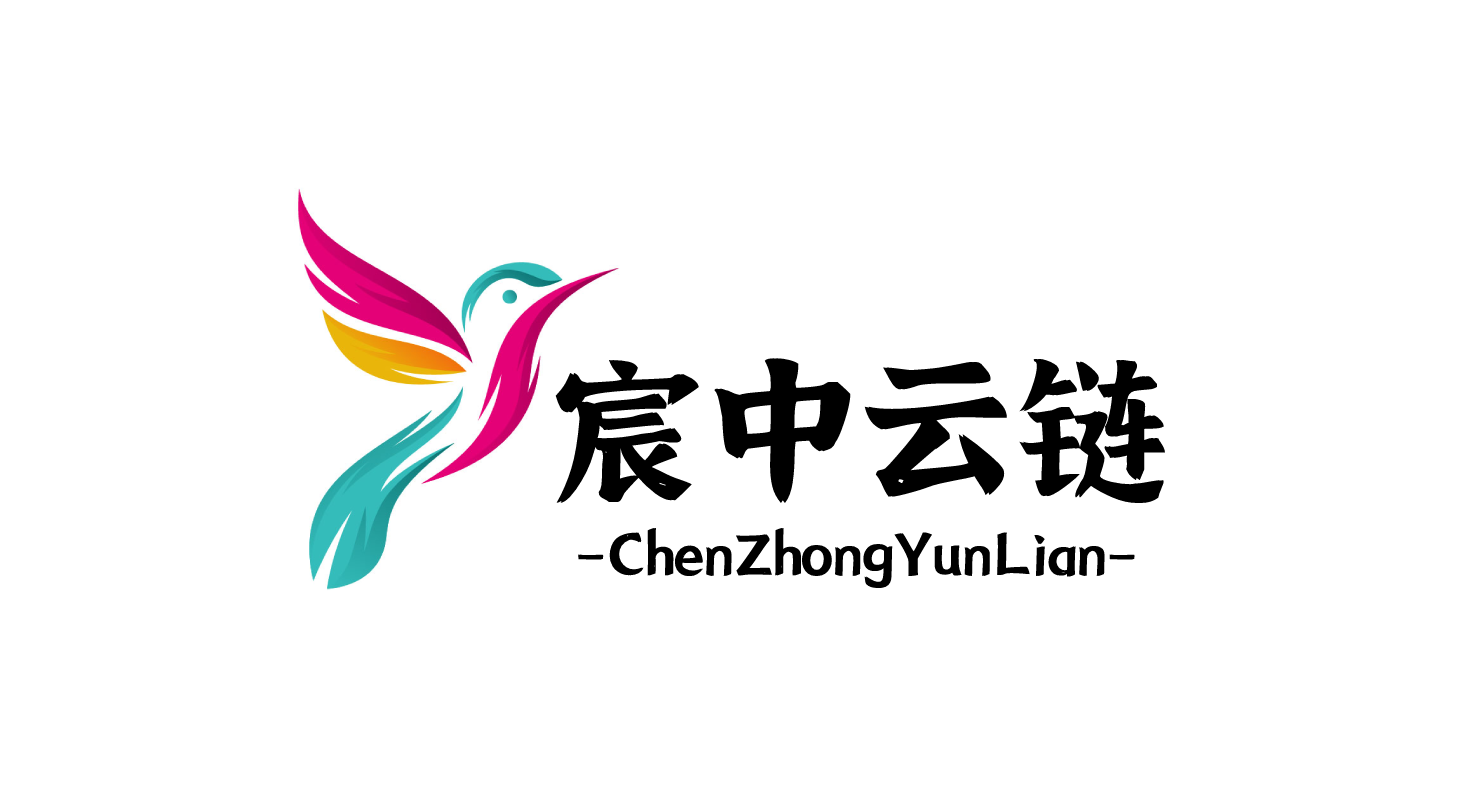 宸中云链